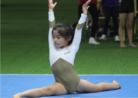 Gymnastics